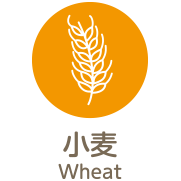小麦